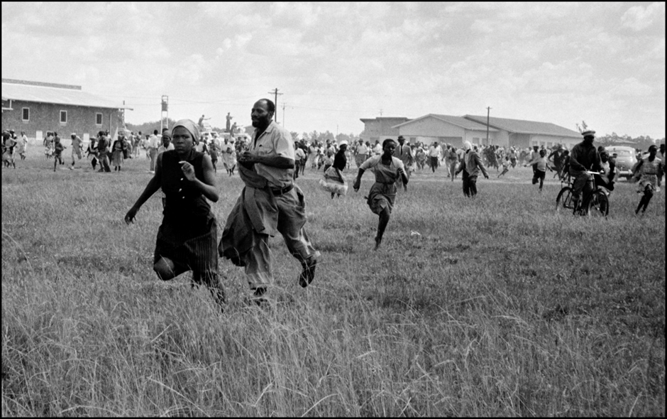 Human Rights Day